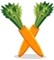 wortelen icoon